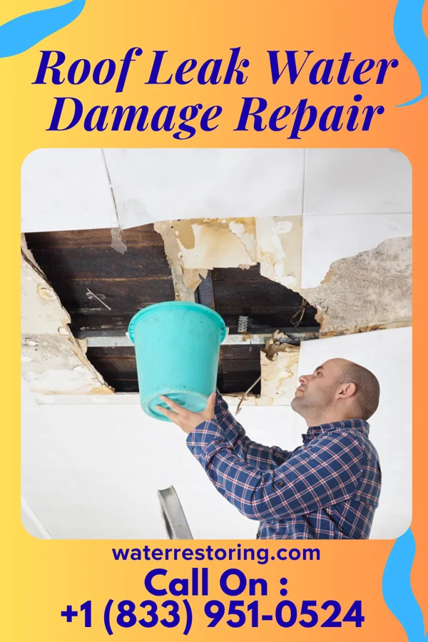 Roof Leak Water Damage Repair in Torrey, UT